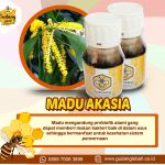 Jual Madu Asli Di Magelang