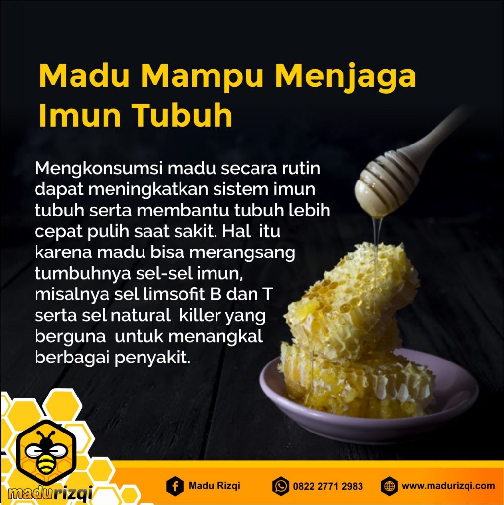 Jual Madu Asli Jakarta - Madu ialah cairan yang di hasilkan oleh lebah dari sari-sari bunga (nektar) bebagai jenis tanaman