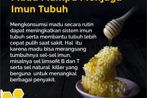 Jual Madu Asli Jakarta