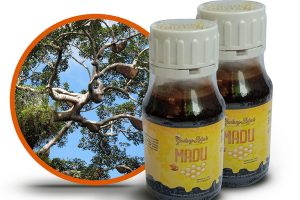 Madu Murni di Bandung