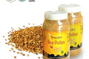 Beepollen Asli Indonesia