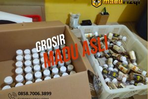 Grosir Madu Asli