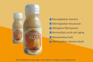 Royal Jelly Asli Jogja