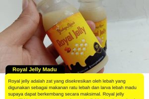 Jual Royal Jelly di Jakarta