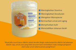 Jual Royal Jelly Asli