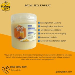 Royal Jelly Murni 500 gram: Manfaat Luar Biasa dalam Setiap Tetesnya