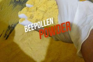 Bee Pollen Supplier