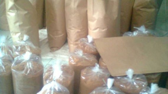 Gula Semut Kelapa: Pemanis Alami yang Lebih Sehat