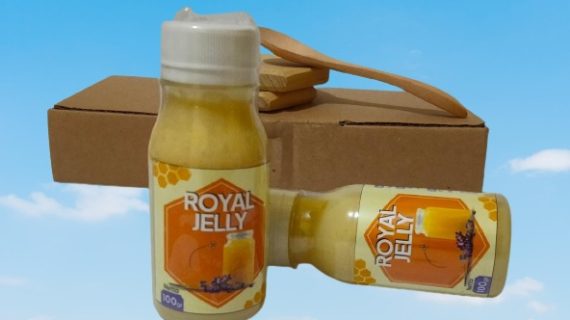 Distributor Royal Jelly Asli Berkualitas dari Peternakan Lebah