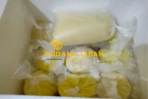 Harga Royal Jelly Asli Terbaru + Opsi Grosir Lebih Murah