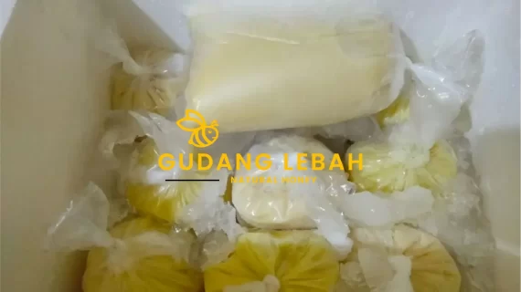 Harga Royal Jelly Asli Terbaru + Opsi Grosir Lebih Murah