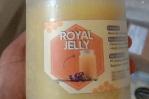 Jual Royal Jelly Asli Berkualitas – Royal Jelly Murni dari Lebah