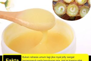 Royal Jelly Murni dari Lebah: Nutrisi Alami untuk Kesehatan Tubuh