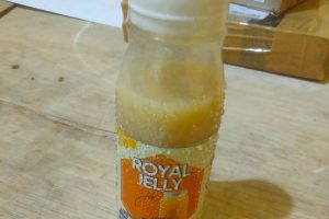 Tempat Jual Royal Jelly Asli Berkualitas dari Lebah