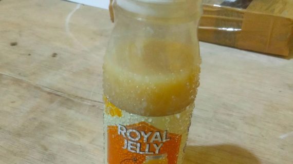 Tempat Jual Royal Jelly Asli Berkualitas dari Lebah